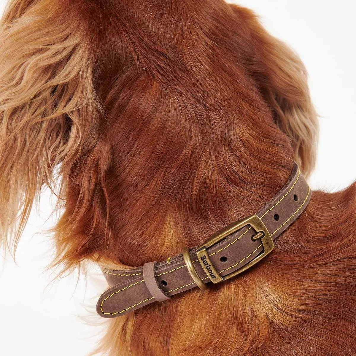 BARBOUR Leather Dog Collar - Brown