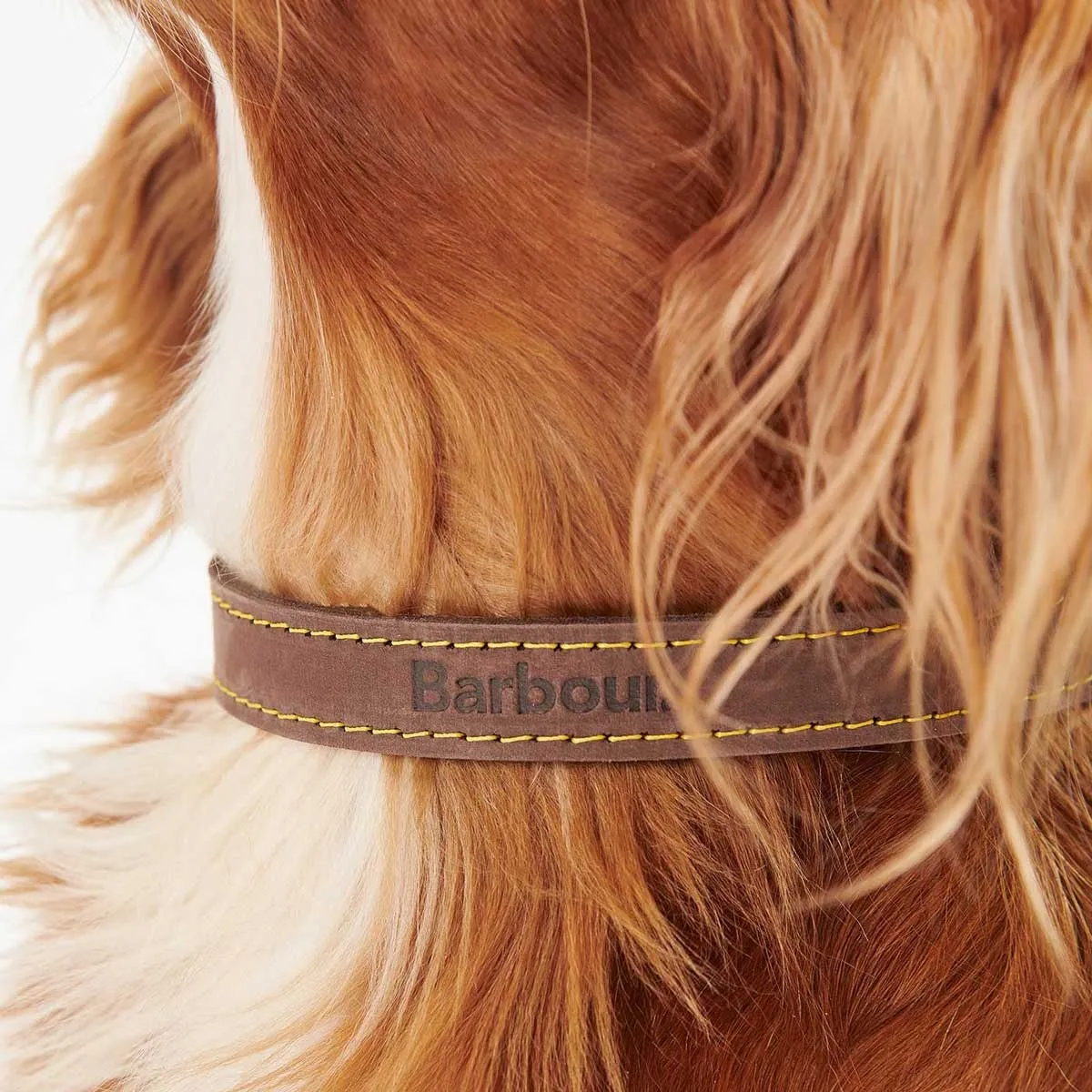 BARBOUR Leather Dog Collar - Brown