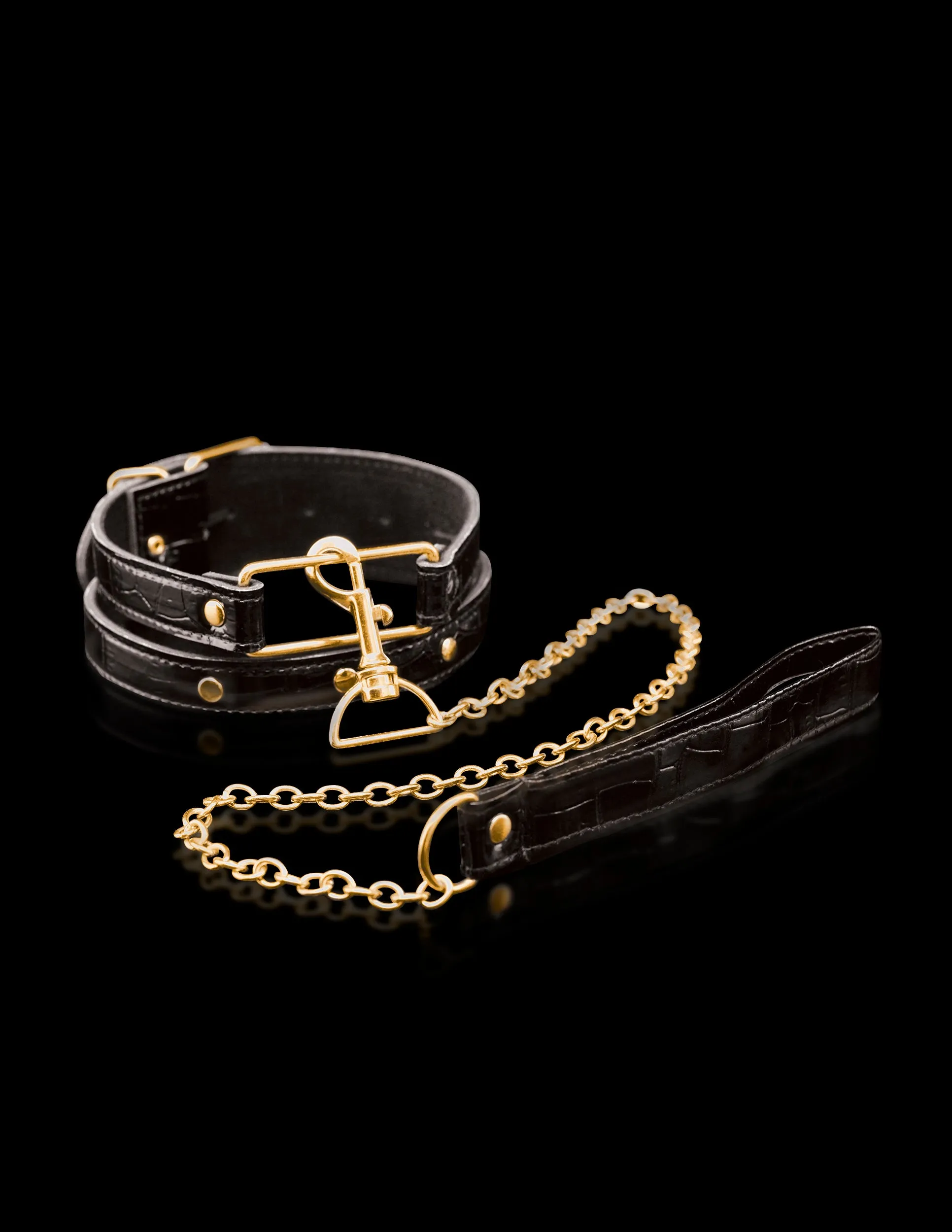 Fetish Fantasy Gold Collar & Leash