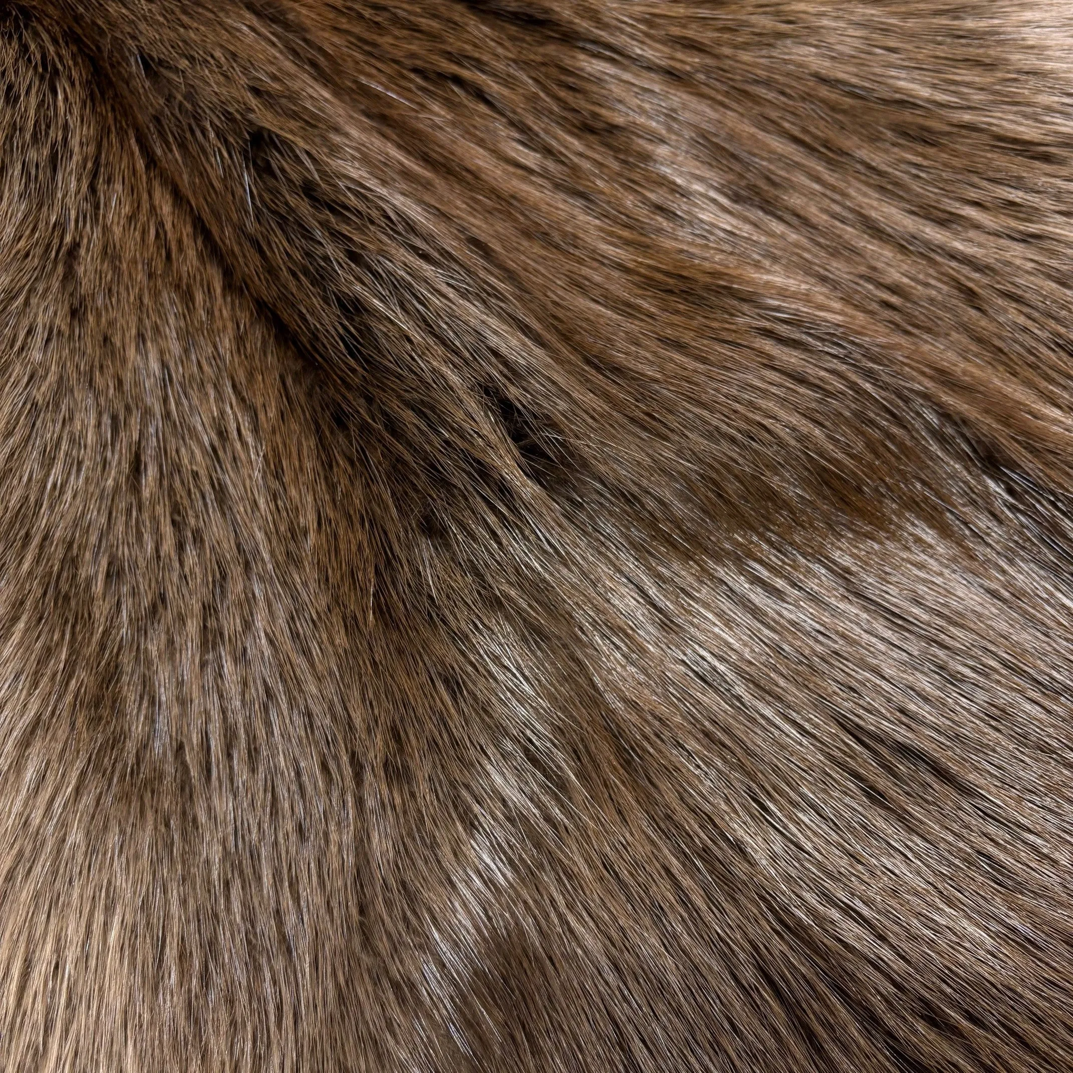 Genuine Beaver Pelt