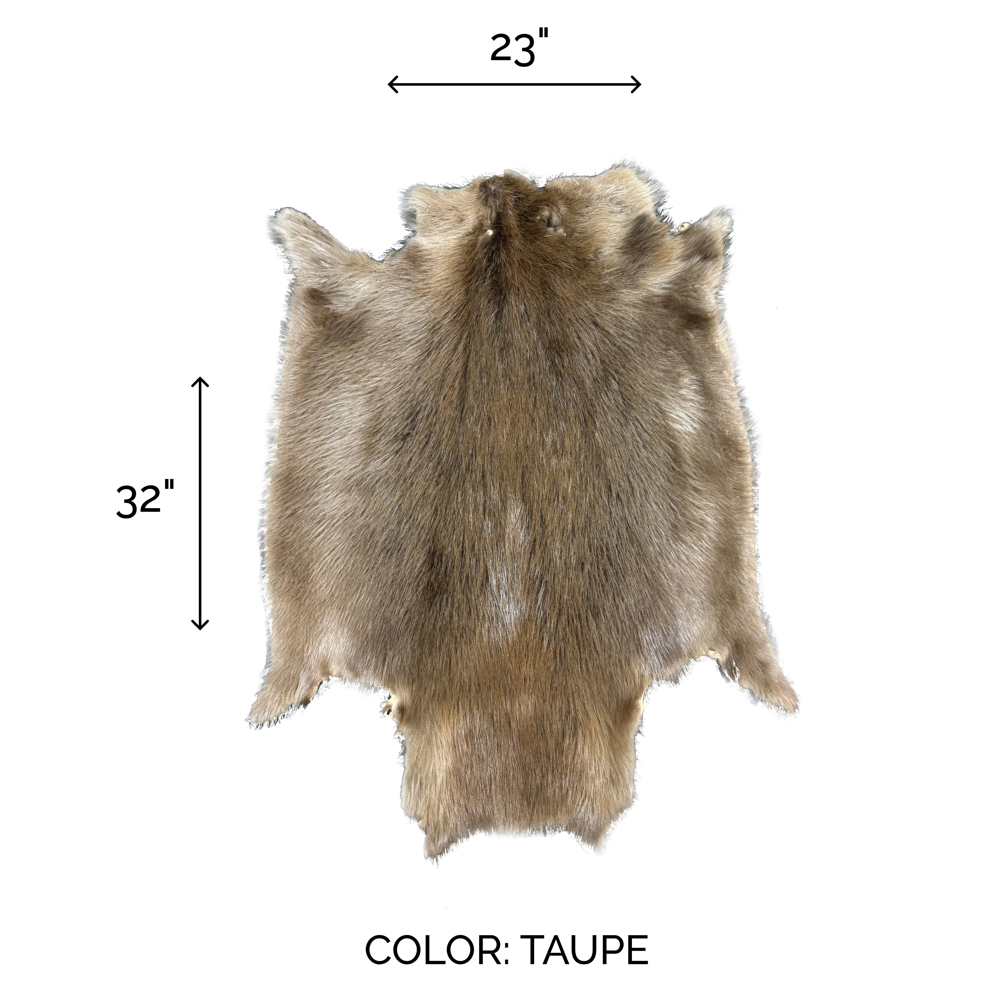 Genuine Beaver Pelt