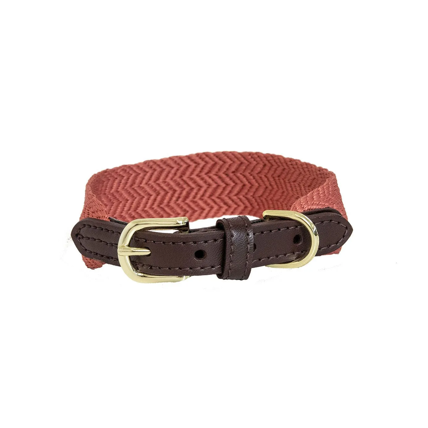 Kentucky Dogwear Jacquard Dog Collar - Terracotta