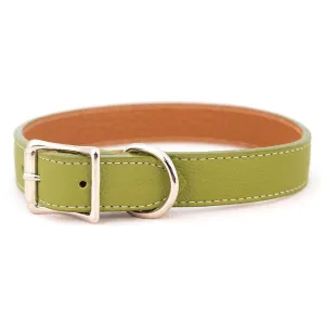 Tuscan Leather Dog Collar Green 1" x 18"